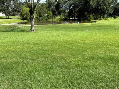 Gorgeous corner lot in highly sought after North Hill - photo 3
