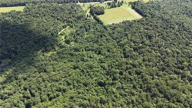 Welcome to Rabbit Path Hideaway --- Gorgeous wooded 26 +/- acres - photo 14