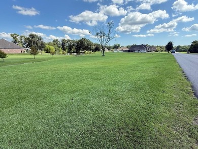 Gorgeous corner lot in highly sought after North Hill - photo 4