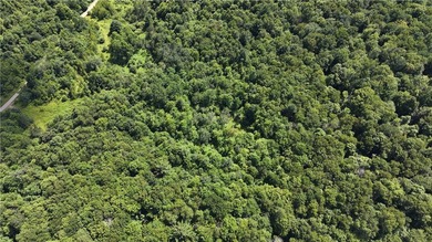 Welcome to Rabbit Path Hideaway --- Gorgeous wooded 26 +/- acres - photo 15