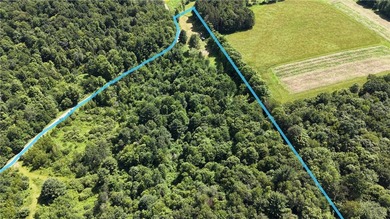Welcome to Rabbit Path Hideaway --- Gorgeous wooded 26 +/- acres - photo 16