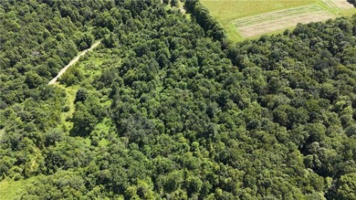 Welcome to Rabbit Path Hideaway --- Gorgeous wooded 26 +/- acres - photo 17