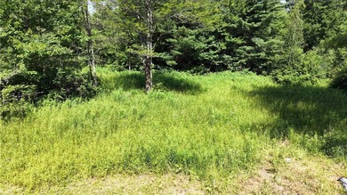 Welcome to Rabbit Path Hideaway --- Gorgeous wooded 26 +/- acres - photo 19