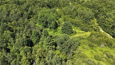 Welcome to Rabbit Path Hideaway --- Gorgeous wooded 26 +/- acres - photo 22