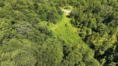 Welcome to Rabbit Path Hideaway --- Gorgeous wooded 26 +/- acres - photo 23