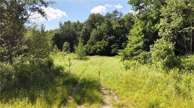 Welcome to Rabbit Path Hideaway --- Gorgeous wooded 26 +/- acres - photo 26