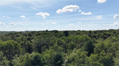 Welcome to Rabbit Path Hideaway --- Gorgeous wooded 26 +/- acres - photo 27