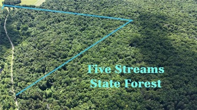 Welcome to Rabbit Path Hideaway --- Gorgeous wooded 26 +/- acres - photo 28
