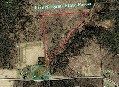 Welcome to Rabbit Path Hideaway --- Gorgeous wooded 26 +/- acres - photo 29