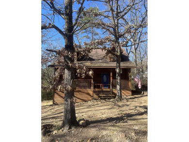 A true Abe Lincoln log home featuring 2 bedrooms, one up, one - photo 29