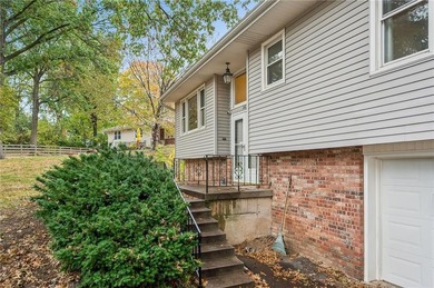 Lake Home For Sale in Smithville, Missouri