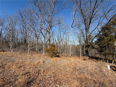 Build your Lake lifestyle here! This lot offers 95 ft of road - photo 3
