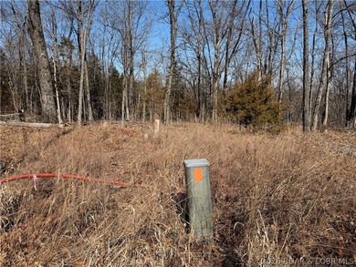 Build your Lake lifestyle here! This lot offers 94 ft of road - photo 2