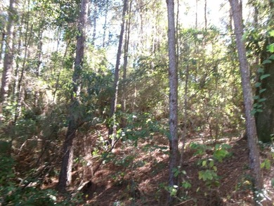 Anchor Lake Lot For Sale in Carriere Mississippi