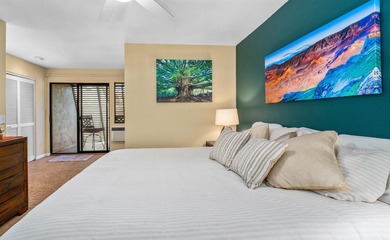 Spectacular ocean view from this very private lanai on the front - photo 30