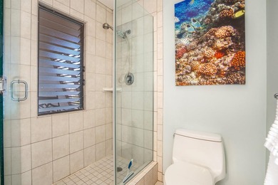 Spectacular ocean view from this very private lanai on the front - photo 34