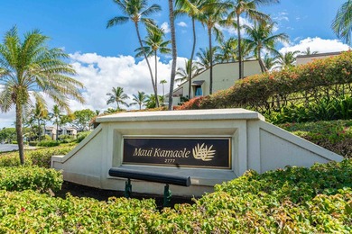 Spectacular ocean view from this very private lanai on the front - photo 38