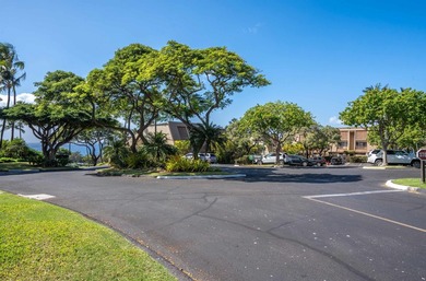 Spectacular ocean view from this very private lanai on the front - photo 50