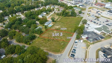 Owner Financing Available! Incredible investment opportunity in - photo 3