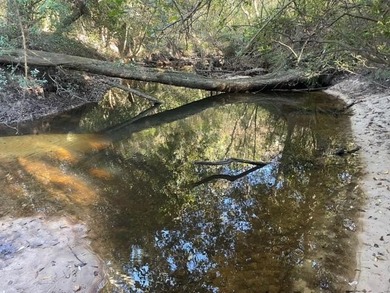 Discover 42.56 acres off Fords Creek Road, offering privacy - photo 1