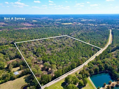 Discover 42.56 acres off Fords Creek Road, offering privacy - photo 2
