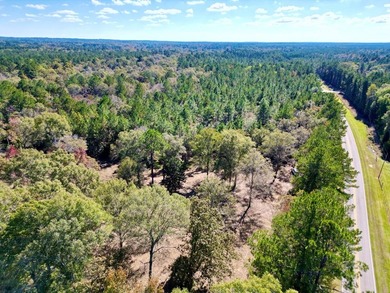 Discover 42.56 acres off Fords Creek Road, offering privacy - photo 3
