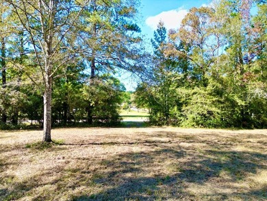 Discover 42.56 acres off Fords Creek Road, offering privacy - photo 4
