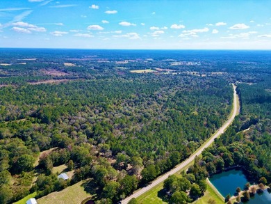 Discover 42.56 acres off Fords Creek Road, offering privacy - photo 5
