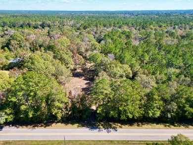 Discover 42.56 acres off Fords Creek Road, offering privacy - photo 6
