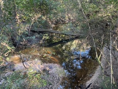 Discover 42.56 acres off Fords Creek Road, offering privacy - photo 7