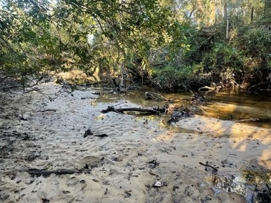 Discover 42.56 acres off Fords Creek Road, offering privacy - photo 8