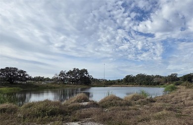 (private lake, pond, coastal) Acreage For Sale in Tampa Florida