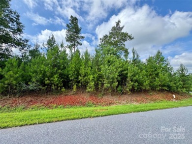 (private lake, pond, creek) Lot For Sale in Connelly Springs North Carolina