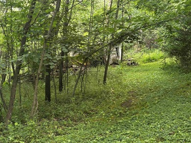 1.5 Acres on the Crystal River! The sounds of the rushing river - photo 27