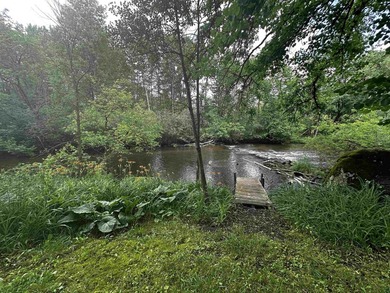 1.5 Acres on the Crystal River! The sounds of the rushing river - photo 28