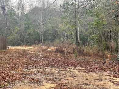 Lake Hide-A-Way Lot For Sale in Carriere Mississippi