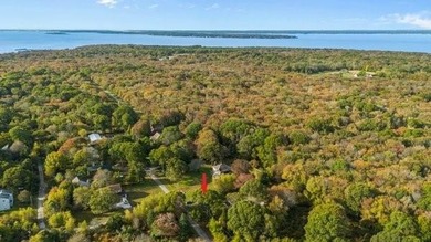 Built in 2010 on nearly half an acre surrounded by state and - photo 29