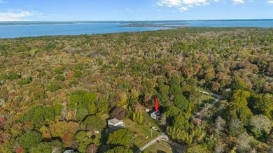 Built in 2010 on nearly half an acre surrounded by state and - photo 30