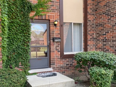 Lake Townhome/Townhouse For Sale in Villa Park, Illinois