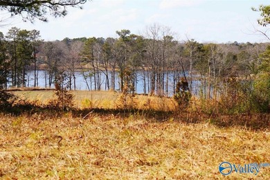 This prime unrestricted property has been family owned and used - photo 3