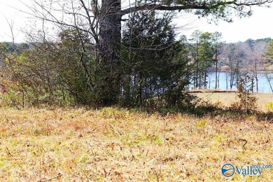 This prime unrestricted property has been family owned and used - photo 4