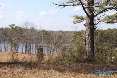 This prime unrestricted property has been family owned and used - photo 5
