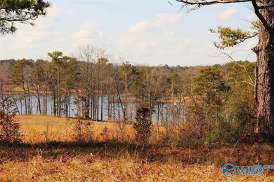 This prime unrestricted property has been family owned and used - photo 6