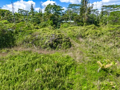 This beautiful gem tucked back in the peaceful Leilani Estates - photo 12