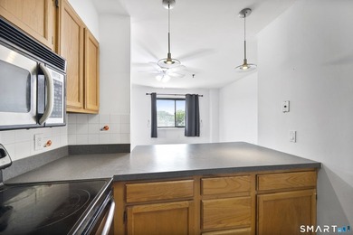 Enjoy convenient downtown living in this spacious and updated - photo 5