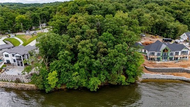 Build your dream lake home on this stunning lakefront lot - photo 11