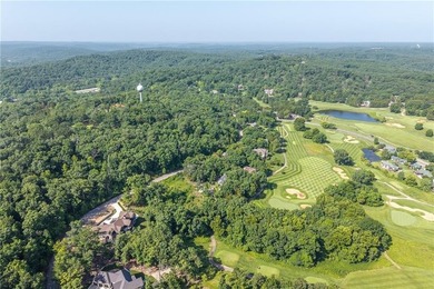 LAKE OF THE OZARKS:Nestled in the prestigious Old Kinderhook, an - photo 12