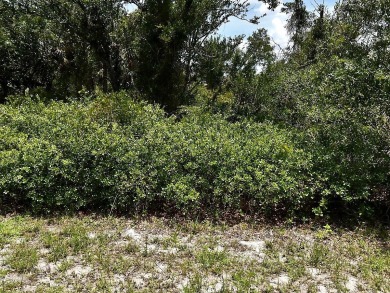 Northport Waterway Lakes and Canals Lot For Sale in North Port Florida