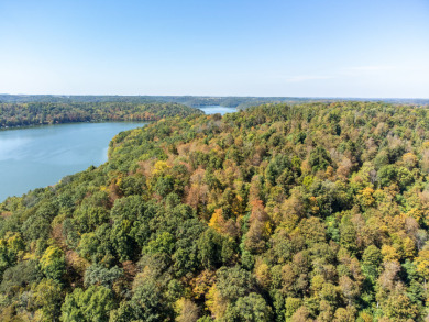 Large Acreage for Sale at Piedmont Lake - photo 21