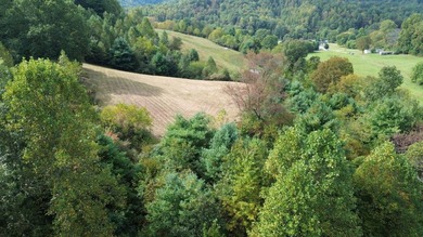 OVERVIEW Big Valley Farm and Forest is a diverse and private 200 - photo 4